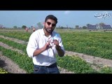 ''Drip Irrigation'' introduced in Pakistan by Nestle and LUMS Students, Special Tour to Fields