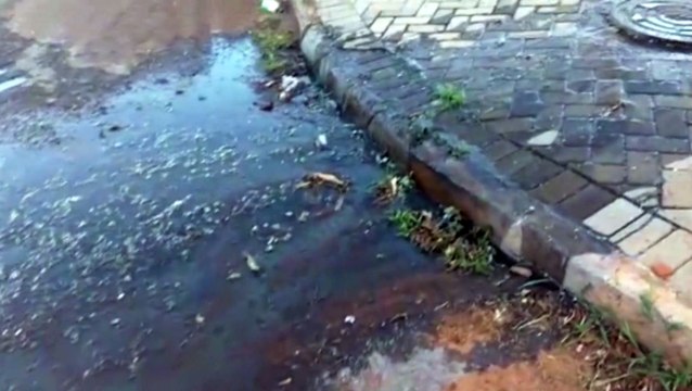 Vazamento de esgoto em via pública no Bairro Cataratas gera incômodo a moradores
