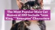 The Most Popular Male Cat Names of 2019 Include Lion King, Avengers Characters