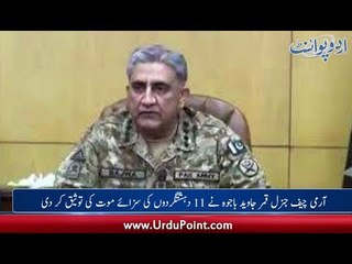 Army Chief Signed the Death Penalty of 11 Terrorists, Woman got Arrested for Stealing Butterfly