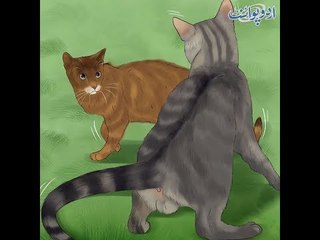 Kids Urdu Story: Bhooki Billi, Bhoori Billi K Liay Us Din Ka Aghaz Hi Bur Tha...