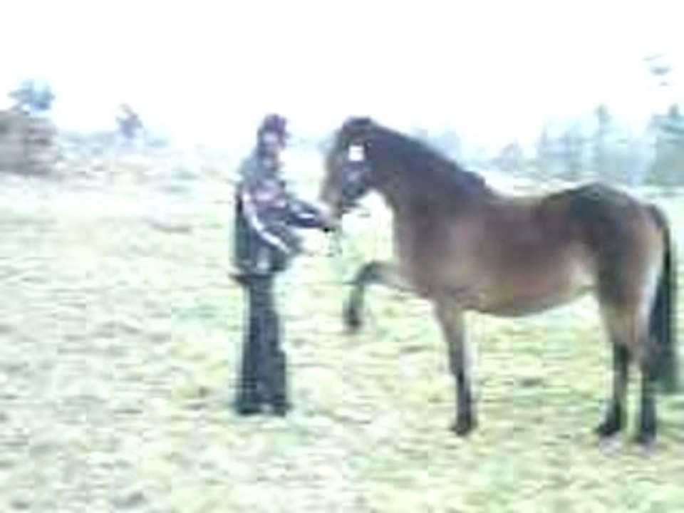 SUNP0047