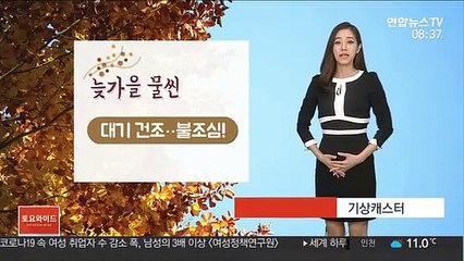 [날씨] 대기 건조 불조심…내일 가끔 비