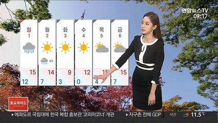 [날씨] 내일 대부분 지역 비…대기 건조해 불조심