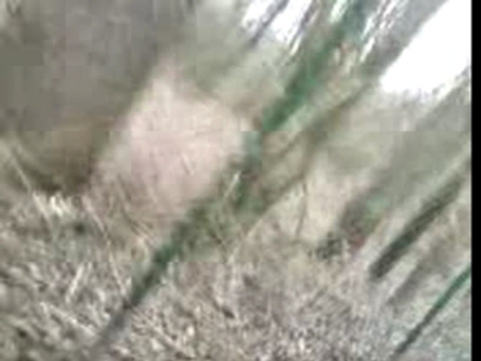 Vidéo0068