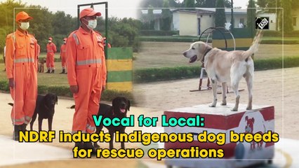 Vocal for Local: NDRF inducts indigenous dog breeds for rescue operations