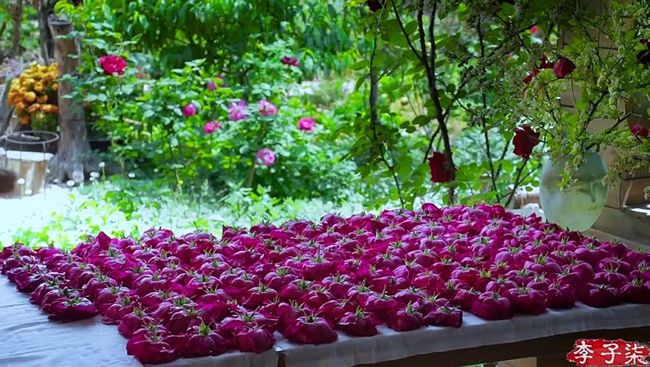 The life of roses.玫瑰花的一生。丨Liziqi Channel