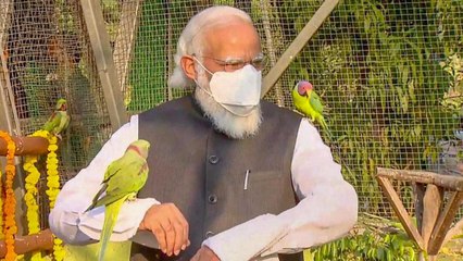 PM inaugurates Arogya Van, visited Geodesic Dome Aviary
