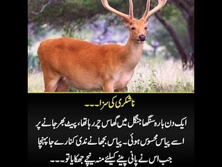 Kids Urdu Story: Nashukri Ki Saza, ek din bara singha jungle main ghas char raha tha...
