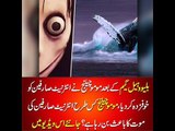 After the Blue Whale Game, the Momo Challenge scared Internet users