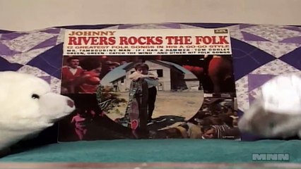 Wild Record Collection #33