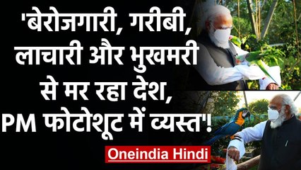 PM Modi ने Kevadiya Jungle Safari में Parrots के साथ कराया Photoshoot, हुए Troll | वनइंडिया हिंदी