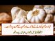 The benefits of garlic for health and fitness. Program Health Guide with Shadab Abbasi