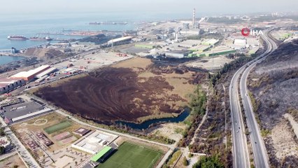 İskenderun’da 55 dönümlük kuş cenneti de kül oldu