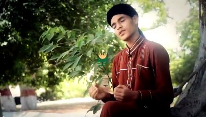 “Ya Khuda Iltija Hai”| Naat | A. Qadir Qadri | Prophet Mohammad PBUH | HD