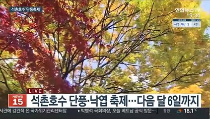오색단풍 물든 석촌호수…가을정취 즐겨요