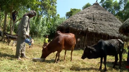 العمل الخيري في إثيوبيا.. تكريس مفهوم التنمية بدل تقديم الإعانات