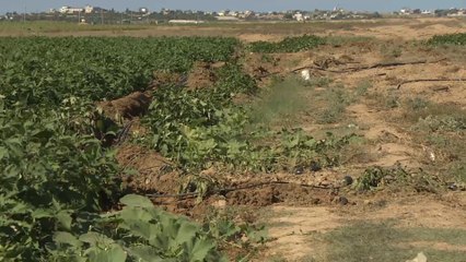 قوات الاحتلال تقوم بعمليات توغل واجتياح داخل أراضي القطاع