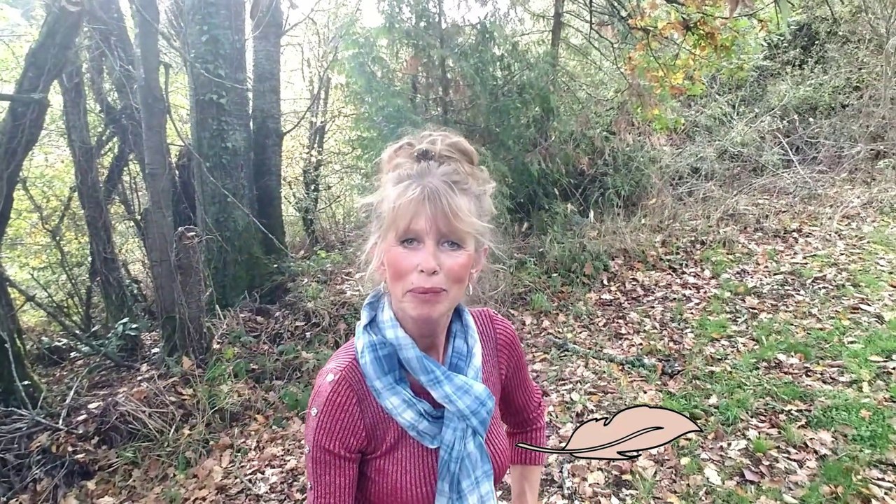 B10 - Die Mauser bei meinen Zwerghühnern