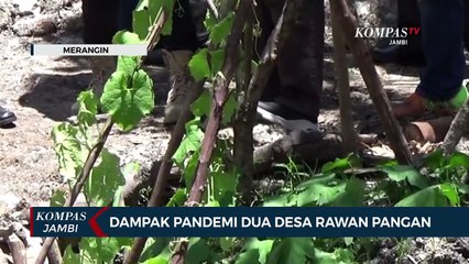 Dampak Pandemi Dua Desa Rawan Pangan