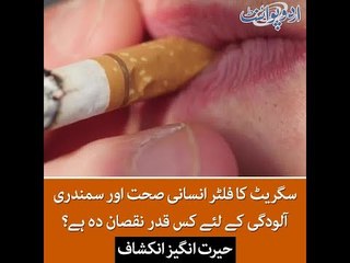 Cigarette Butt's (Filters) Are The Worst Contaminant of Oceans, Details in this Video