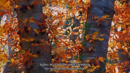 Avanço - Ideias que mudaram o mundo - o Foguete