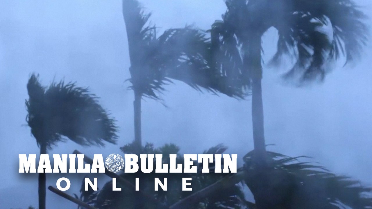 What to do before, during a typhoon