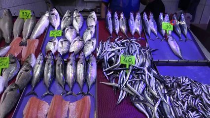 Palamut fiyatıyla cep yakıyor