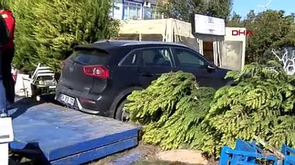 Sığacık'ta tsunami ile sürüklenen balıklar kafe bahçelerine kadar girdi