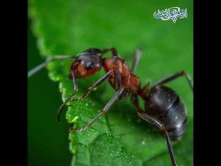 Nov 10 حیرت انگیز اعداد و شمار