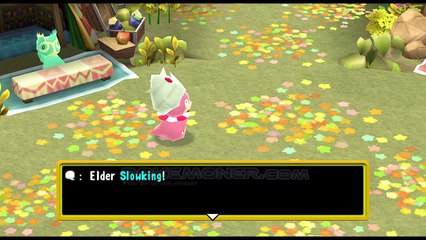 Pokemon Mystery Dungeon Adventure Squad Series English Patched - The Wii version! - Pokemoner.com