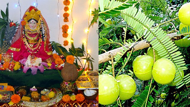 Kartik Maas 2020: कार्तिक मास 2020 में करें ये वास्तु उपाय, चमक जाएगी आपकी किस्मत | Boldsky