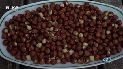 Değerlerin Daveti - Giresun Tombul Fındığı | 31 Ekim 2020