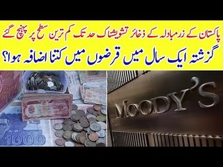 Hike in International Loans, Foreign Reserves Decreased, Know Details