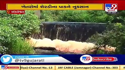 Chemical water destroyed crops in Ankleshwar, Bharuch