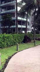 Billionaires island 2 Anthony S Casey Singapore