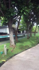 Billionaires island 3 Anthony S Casey Singapore