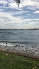 Billionaires island 7 Anthony S Casey Singapore