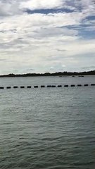 Billionaires island 8 Anthony S Casey Singapore