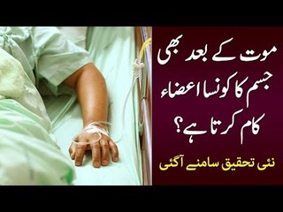 Which Part of Human Body Continue Working After Death?