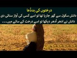 Kids Urdu Story: Darakhton Ki Bad Dua, Danish School Se Ghar Ja Raha Tha tou Usay Kisi Ki Awaz...
