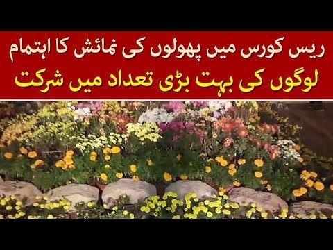 Special Flowers Exhibition Arranged at Jillani Park, Lahore, Watch Special Report