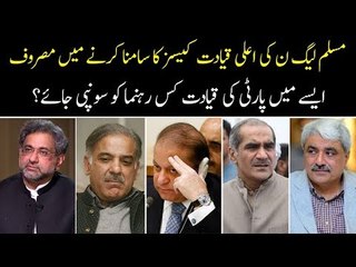 Who Should Lead PMLN in Current Scenario? Find Out Public Opinion in This Video