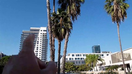 Uncovering Hollywood's Hidden Projects: Vine & Fountain Construction 🏗️