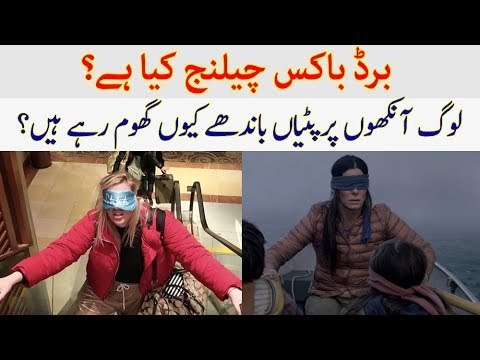 What is Birdbox Challenge? Why People Keep on Blindfolds? Details in the Video