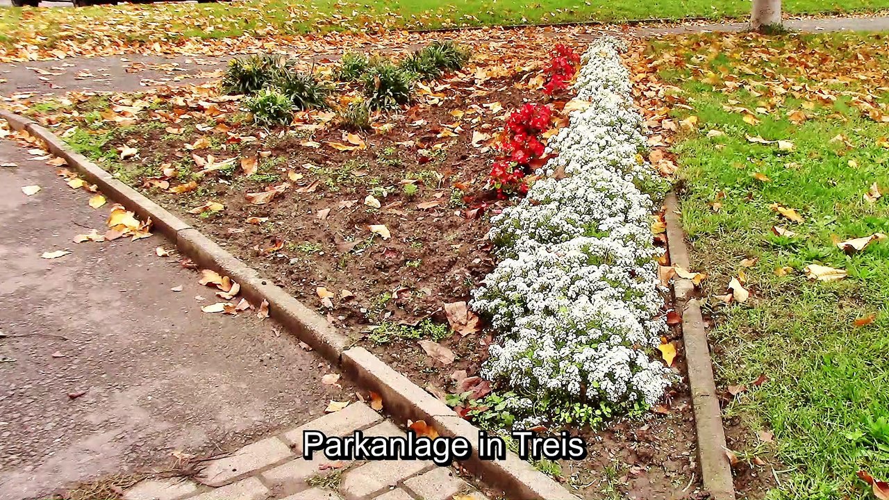 Sehenswürdigkeiten in Treis-Karden