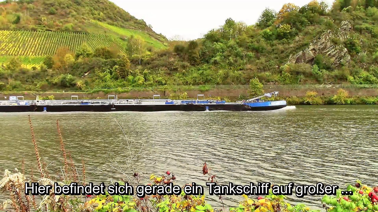 Schiffe in Treis-Karden