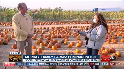 October 31st is the last day to enjoy the fall festivities at the Murray Family Farms