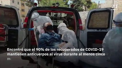 Inmunidad al coronavirus podría persistir durante meses, afirma estudio