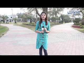 Your Car's Breaks are Failed, You See Your Wife and Girlfriend Standing in Front. Whom You Will Hit?